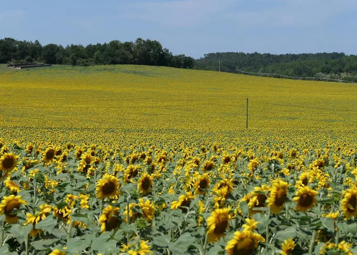 Le Moulin Du Clapier- Gite La Banette Sorges