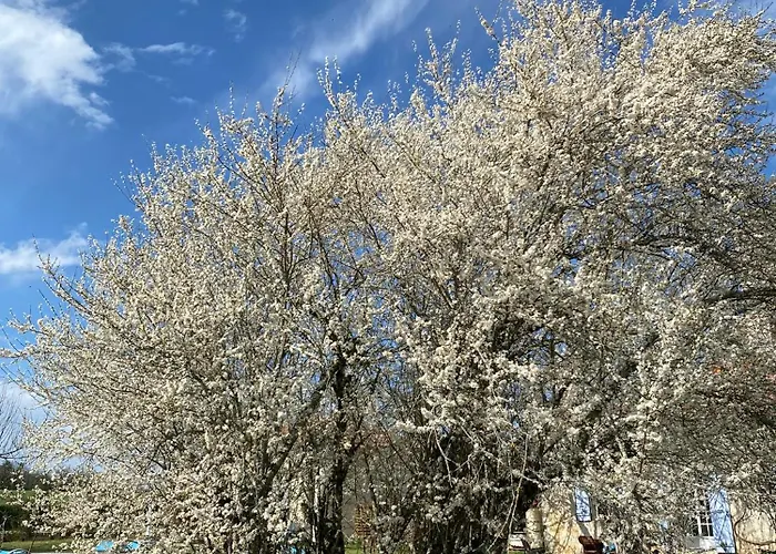 Le Moulin Du Clapier- Gite La Banette